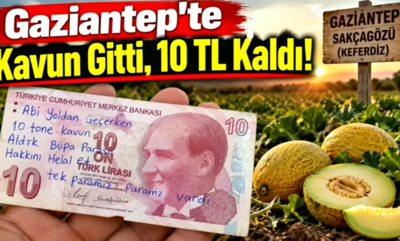 10 TL helallik - Gaziantep'te 10 TL Helallik: Kavun Hırsızlığı mı, Mahsul ...