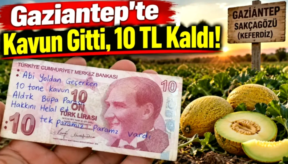 Gaziantep'te 10 TL Helallik: Kavun Hırsızlığı mı, Mahsul ...