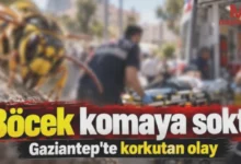böcek ısırması - Gaziantep'te Böcek Isırması: Komaya Giren Vatandaş