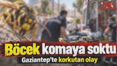 böcek ısırması - Gaziantep'te Böcek Isırması: Komaya Giren Vatandaş