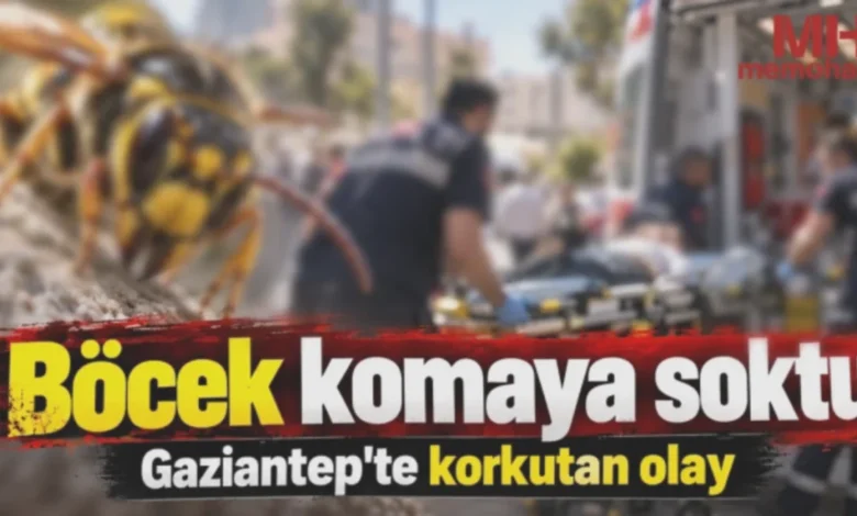 böcek ısırması - Gaziantep'te Böcek Isırması: Komaya Giren Vatandaş
