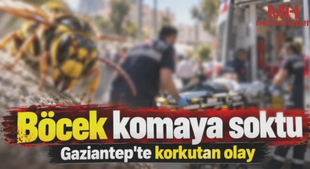 Gaziantep'te Böcek Isırması: Komaya Giren Vatandaş