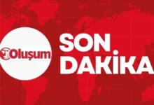 çevre duyarsızlığı - Gaziantep'te Çevre Duyarsızlığı: Parklar Kirletiliyor