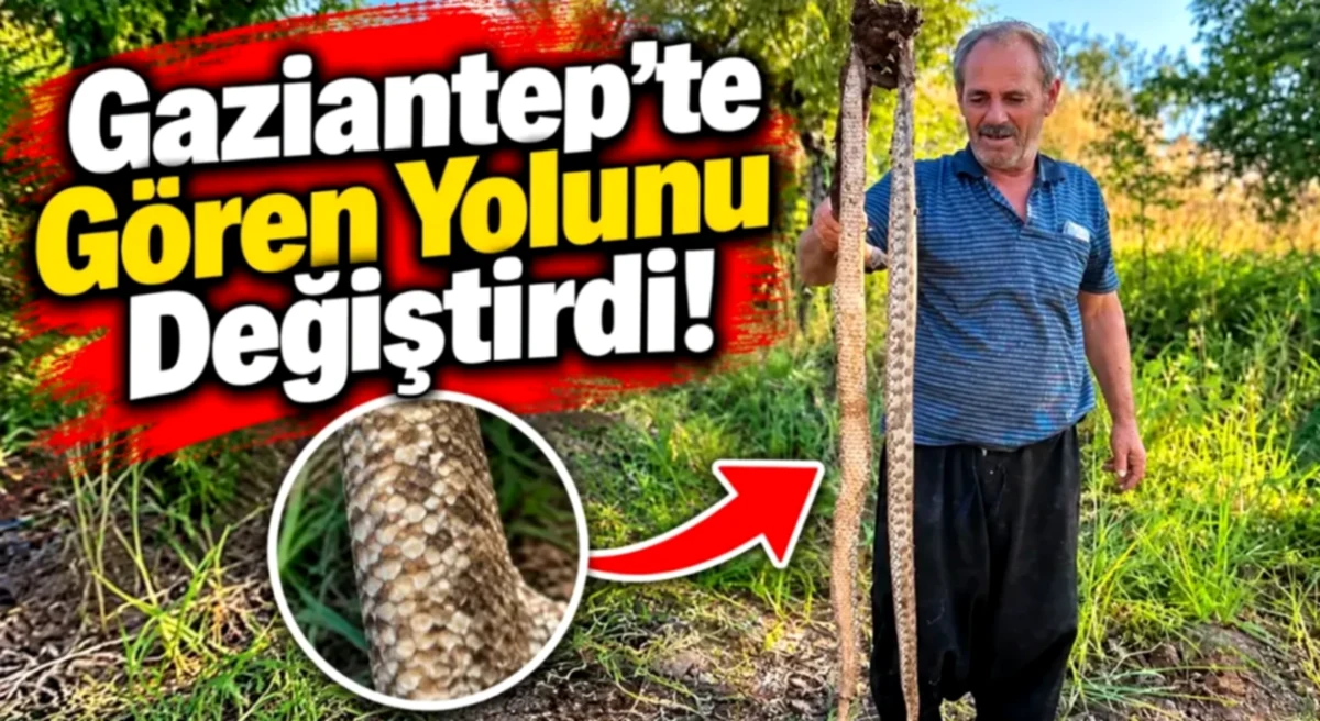 Gaziantep'te Şaşırtan Yılan Paniği