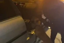 uyuşturucu hammaddesi - Gaziantep'te Uyuşturucu Hammaddesi Operasyonu