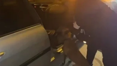 uyuşturucu hammaddesi - Gaziantep'te Uyuşturucu Hammaddesi Operasyonu