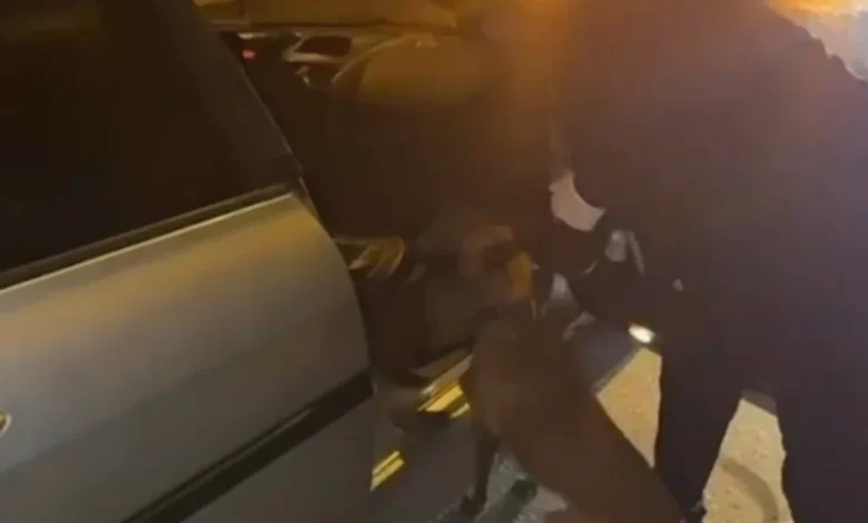 uyuşturucu hammaddesi - Gaziantep'te Uyuşturucu Hammaddesi Operasyonu