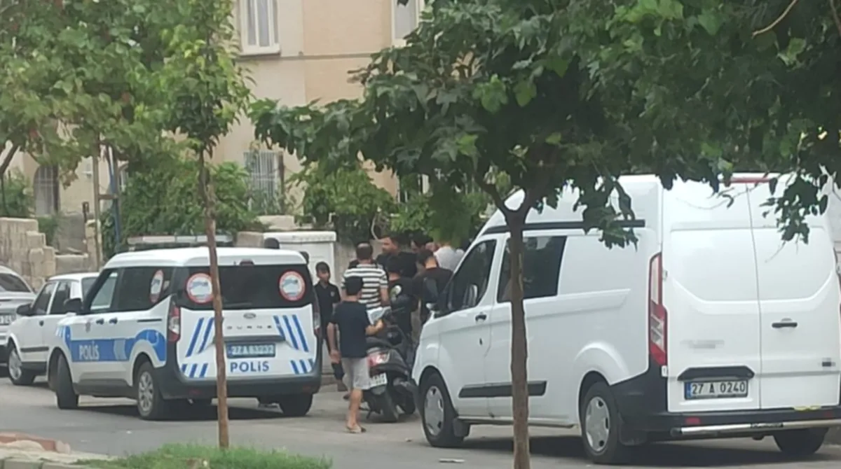 Havaya ateş: Balkondan izleyen kadın vurdu