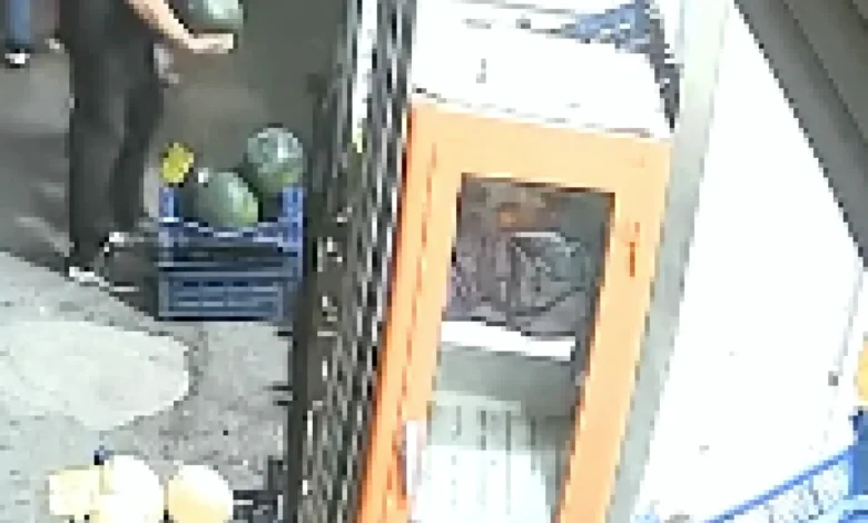 karpuz hırsızlığı - Karpuz Hırsızlığı: Antep'te Pişkin Anlar Kamerada