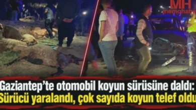 koyun sürüsü kaza - Koyun Sürüsü ve Karanlık: Bir Kaza Bilmecesi