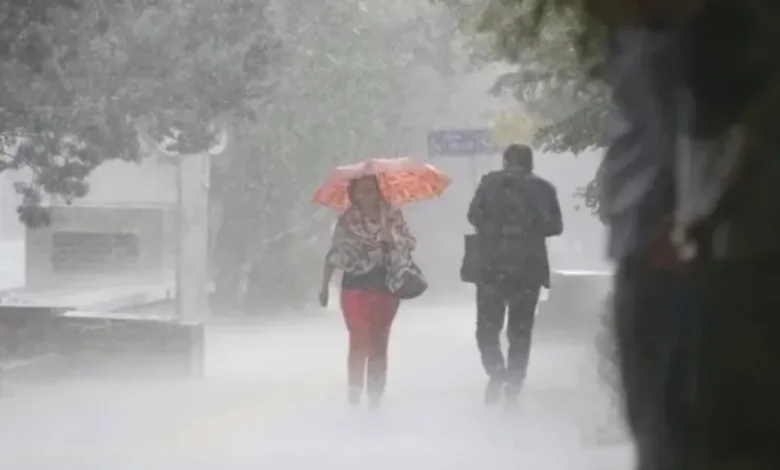 Mega El Nino Gaziantep - Mega El Nino Gaziantep'te: Kuraklık Bitiyor Mu?