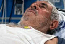 Nizip yılan vakaları - Nizip'te Yılan Paniği: Serum Yok!