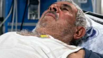 Nizip yılan vakaları - Nizip'te Yılan Paniği: Serum Yok!
