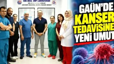 NK hücre tedavisi - NK Hücre Tedavisi Gaziantep'te Umut Oldu