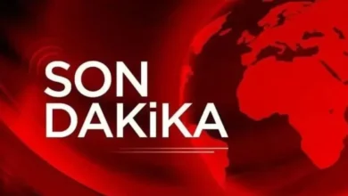 utanç verici görüntüler - Parklarda Huzur Kalmadı: Utanç Verici Görüntüler