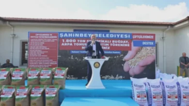 Şahinbey tohum desteği - Şahinbey Çiftçisine 1800 Ton Tohum Desteği
