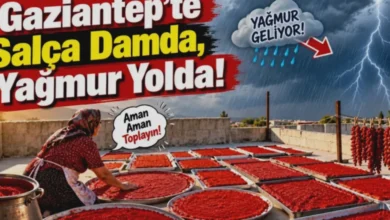 salça riski - Salça Riski Kapıda!