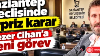 Sezer Cihan - Sezer Cihan'dan Yeni Görev: Danışmanlık