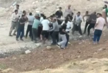 aile kavgası - Vatan'da Aile Kavgası: Kim Haklıydı?