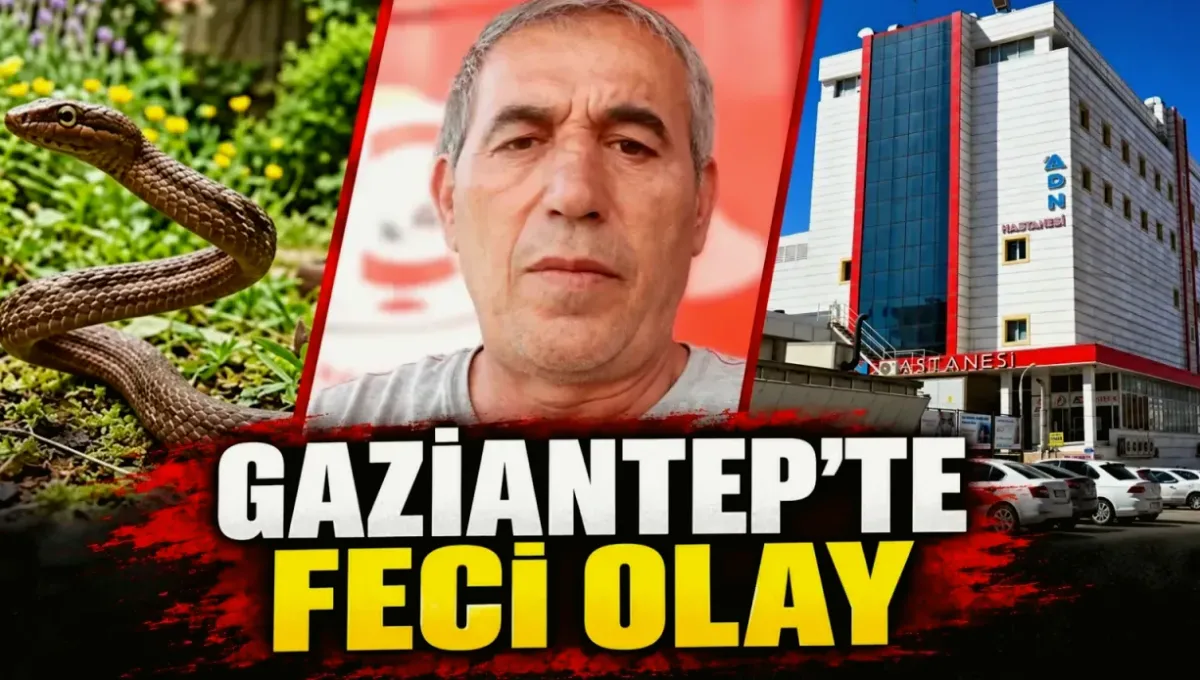 Yılan Sokmasıyla Fıstık Tarlasında Acı Son