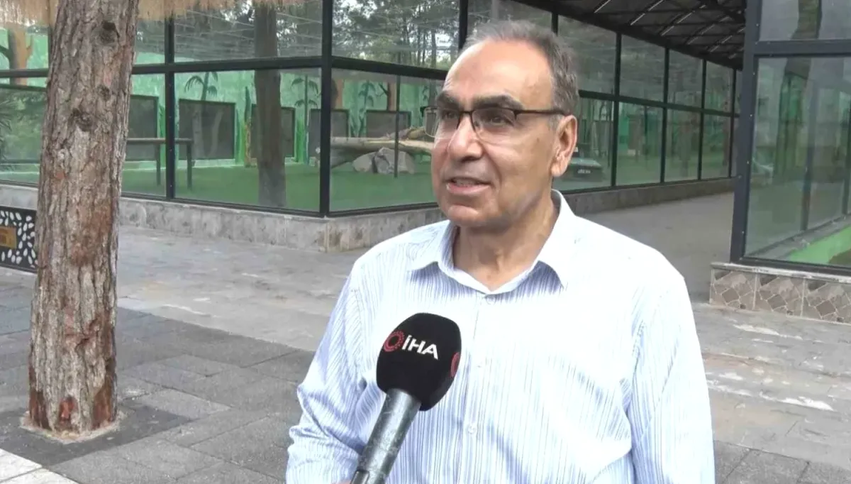 Yırtıcı Ada: Gaziantep'te Aslanlarla Nefes Nefese