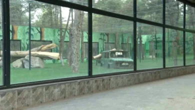 Yırtıcı Adası - Yırtıcı Adası Heyecanı Gaziantep'te Başladı