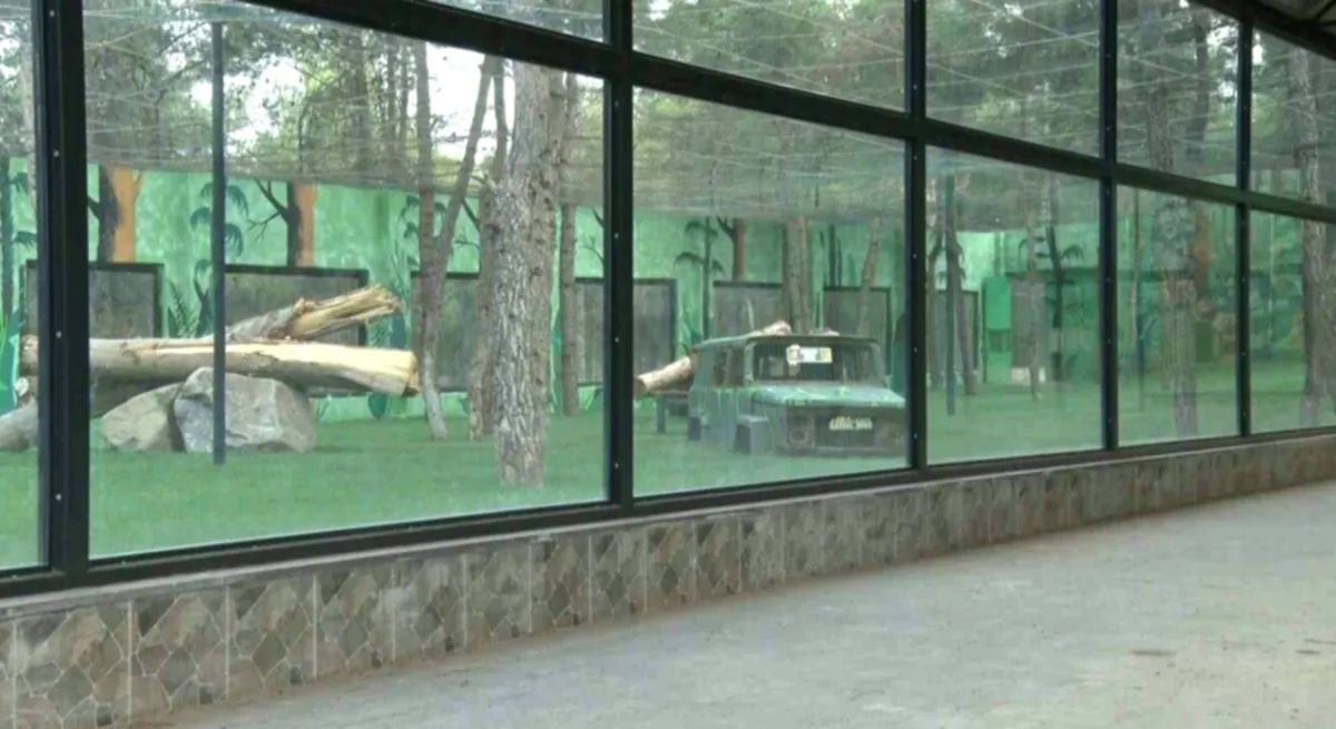 Yırtıcı Adası Heyecanı Gaziantep'te Başladı
