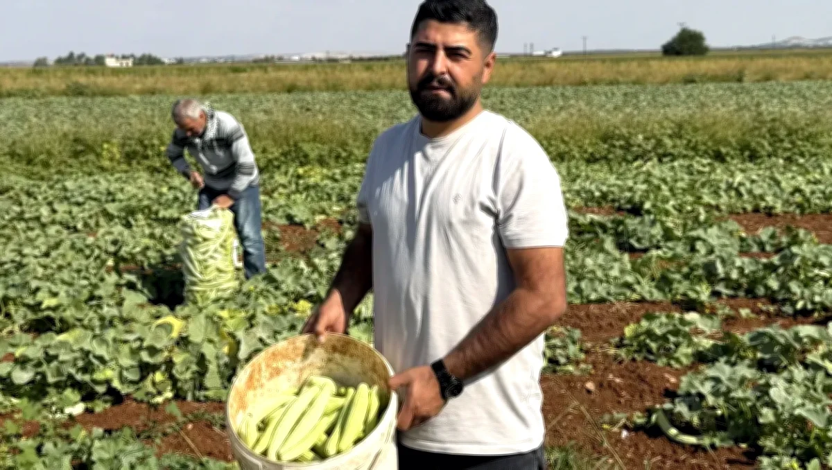 Acur Hasadı: Gaziantep'in Kışlık Lezzeti Hazır