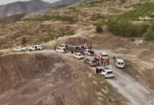domuz popülasyonu - Domuz İstilası: Çiftçi Mağduriyetine Çözüm Yolu