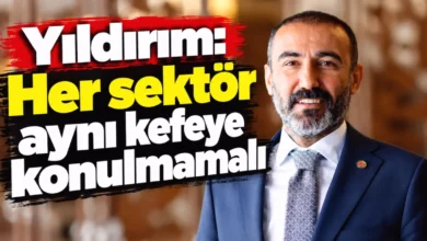 döviz desteği kriterleri - Döviz Desteği: Kriterler Esnetilmeli