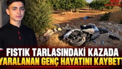 Fıstık Tarlası Kazası - Fıstık Tarlasında Faciada Son Kayıp: Eren
