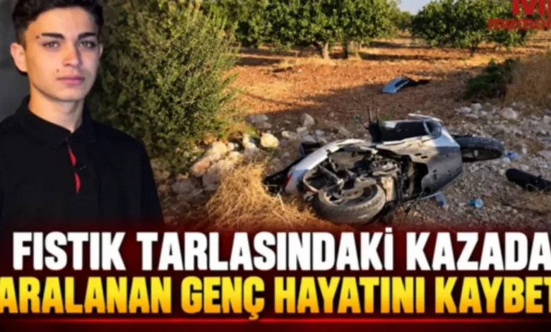 Fıstık Tarlası Kazası - Fıstık Tarlasında Faciada Son Kayıp: Eren
