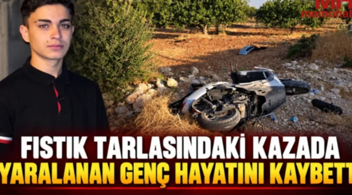 Fıstık Tarlasında Faciada Son Kayıp: Eren