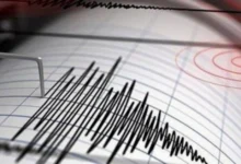 Gaziantep deprem panigi - Gaziantep Deprem Panigi: Gaziantep Yine Sallandı - Panik ...