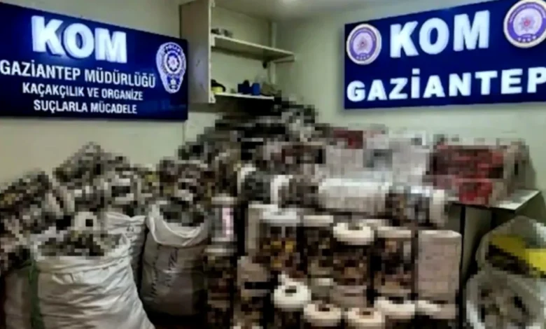 Gaziantep kaçak sigara operasyonu - Gaziantep kaçak sigara operasyonu: 14 bin paket yakalandı