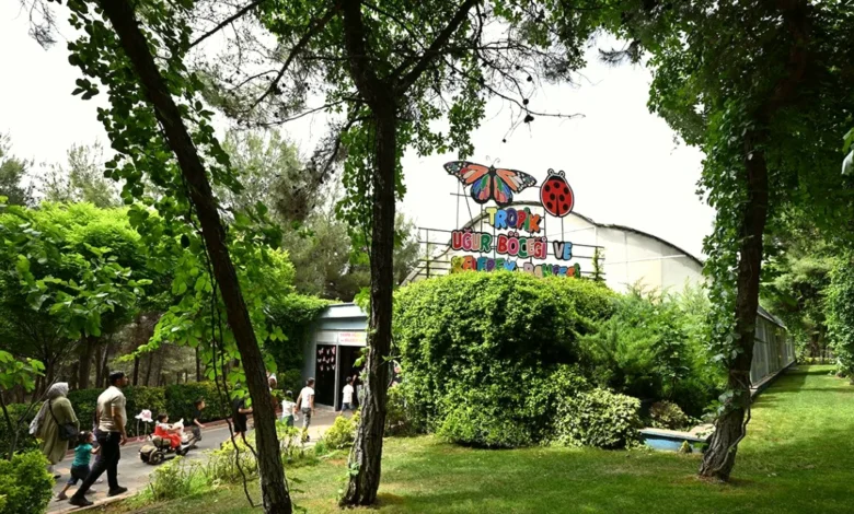 Gaziantep'in saklı renkleri - Gaziantep'in Saklı Renkleri