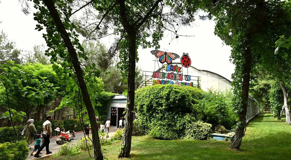 Gaziantep'in Saklı Renkleri