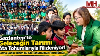 ata tohumları - Gaziantep'te Ata Tohumları Can Buluyor