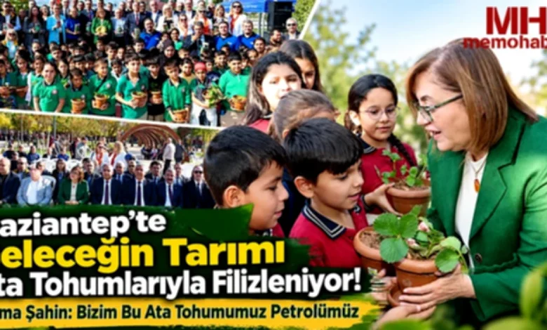 ata tohumları - Gaziantep'te Ata Tohumları Can Buluyor