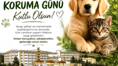GKV can dostlar - GKV'li Öğrenciler: Can Dostlara Sağlık Desteği