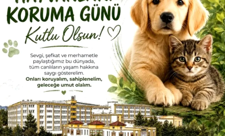 GKV can dostlar - GKV'li Öğrenciler: Can Dostlara Sağlık Desteği