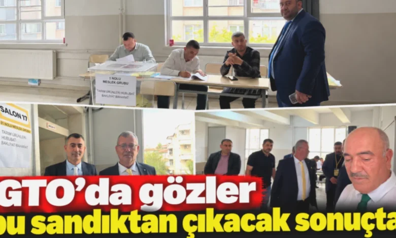 GTO seçimi - GTO Seçimi: Gözler Sandıkta!