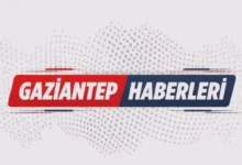 tır kazası - İslahiye Tır Kazasında Sürücü Yaralandı
