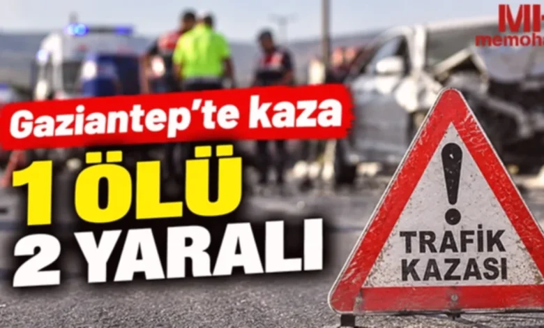 Nizip'te feci kaza - Nizip'te feci kaza: 1 ölü