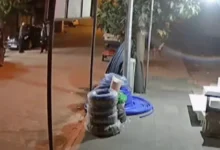 Nurdağı Polisi Vuruldu - Nurdağı Polisi Vuruldu: Asayiş Kaygıları