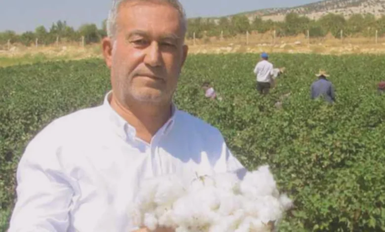 pamuk alım fiyatları - Pamuk alım fiyatları açıklandı: Çukobirlik duyurdu