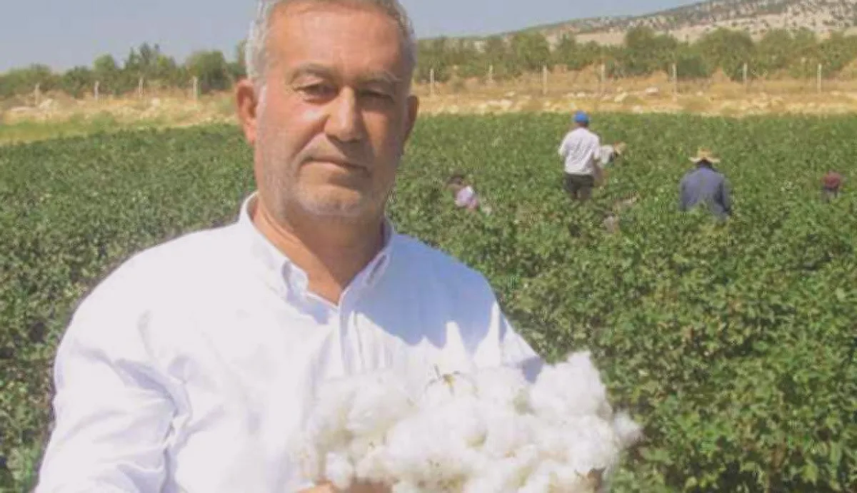 Pamuk alım fiyatları açıklandı: Çukobirlik duyurdu