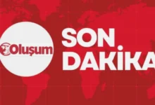 Gaziantep parklarda çekirdek - Parklarda Kabuk Sömürüsü: Gaziantep Utanc Verici Manzara