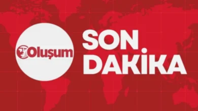 Gaziantep parklarda çekirdek - Parklarda Kabuk Sömürüsü: Gaziantep Utanc Verici Manzara