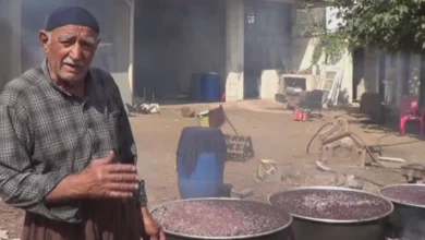 pekmez zamanı - Pekmez Zamanı: Gaziantep'te Üzüm Geleneği Canlandı